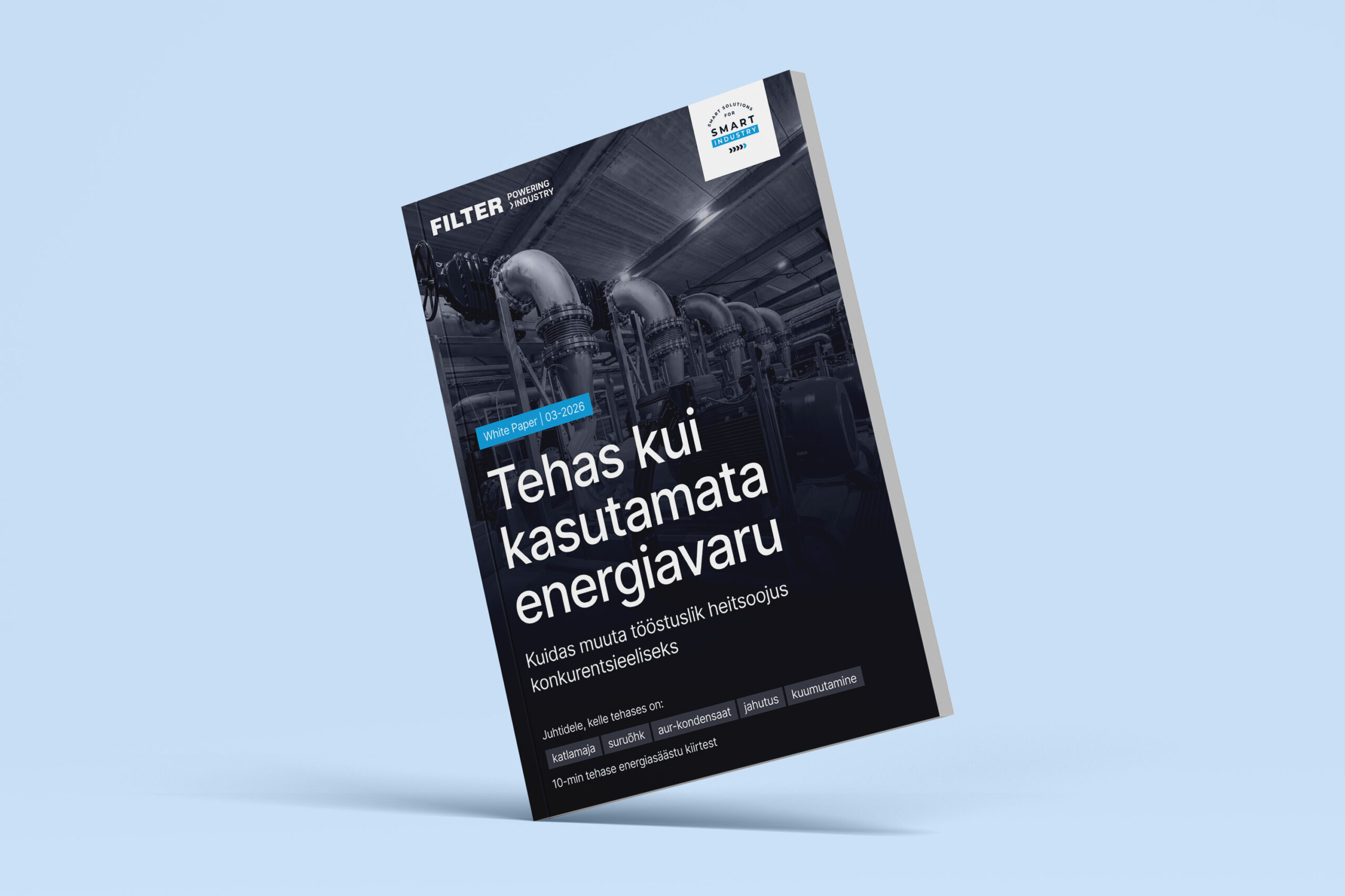 Tehas kui kasutamata energiavaru I FILTER